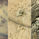 Illustration for article titled An American Moral Crisis: Gizmodo Talks Drones with Dennis Kucinich